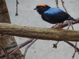 Tiergarten Schönbrunn am 23.03.2023